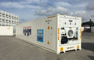 frozen container